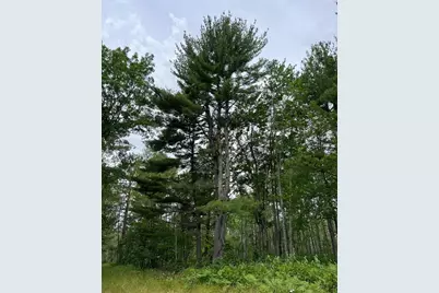 W37Xx Frog Creek Road, Minong, WI 54859 - Photo 4