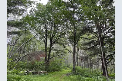 W37Xx Frog Creek Road, Minong, WI 54859 - Photo 14