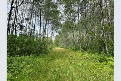 W37Xx Frog Creek Road, Minong, WI 54859 - Photo 2