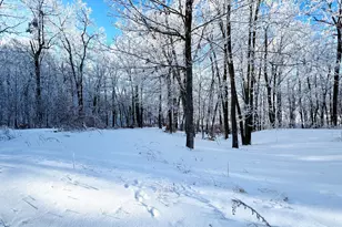 26088 Broadway Ave, Detroit Lakes, MN 56501 - Photo 54