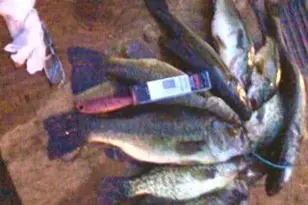 26088 Broadway Ave, Detroit Lakes, MN 56501 - Photo 64