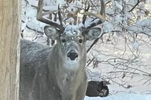 26088 Broadway Ave, Detroit Lakes, MN 56501 - Photo 56