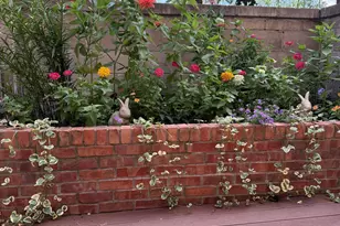 6423 Colony Way, Edina, MN 55435 - Photo 2