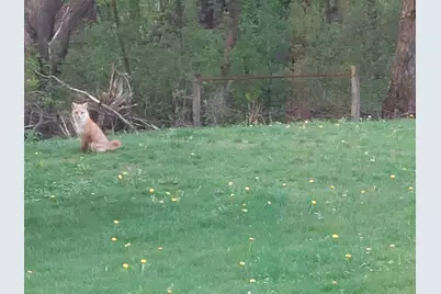 22438 State Highway 30, Hayfield, MN 55940 - Photo 88