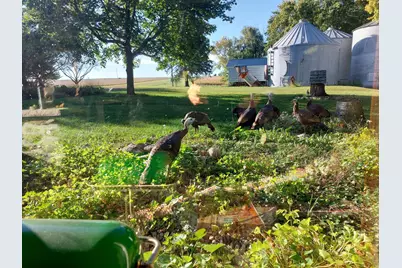 22438 State Highway 30, Hayfield, MN 55940 - Photo 90