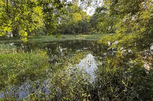 22438 State Hwy 30, Hayfield, MN 55940 - Photo 74