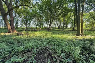 22438 State Hwy 30, Hayfield, MN 55940 - Photo 80