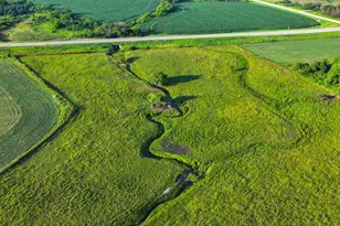 22438 State Hwy 30, Hayfield, MN 55940 - Photo 56