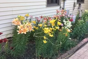 11216 Harrison Ave S, Bloomington, MN 55437 - Photo 32