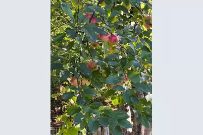 [Address not provided], Silver Bay, MN 55614 - Photo 36