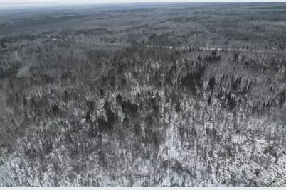 Tbd Us-71, Big Falls, MN 56627 - Photo 1