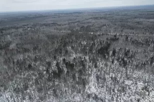 Tbd Us-71, Big Falls, MN 56627 - Photo 1