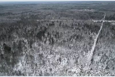 Tbd Us-71, Big Falls, MN 56627 - Photo 4
