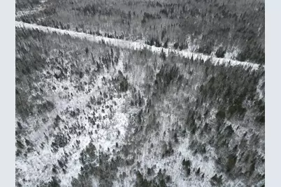 Tbd Us-71, Big Falls, MN 56627 - Photo 16