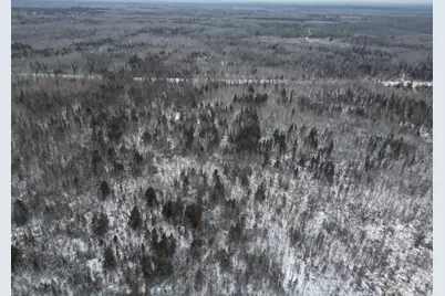 Tbd Us-71, Big Falls, MN 56627 - Photo 8