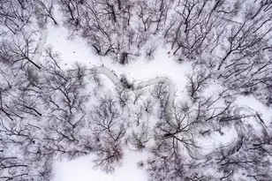 1492 County Rd 30 SW, Montrose, MN 55363 - Photo 32