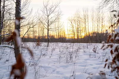 Tbdx 130th Street, Detroit Lakes, MN 56501 - Photo 60