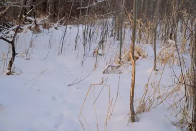 Tbdx 130th Street, Detroit Lakes, MN 56501 - Photo 48