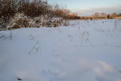 Tbdx 130th Street, Detroit Lakes, MN 56501 - Photo 32