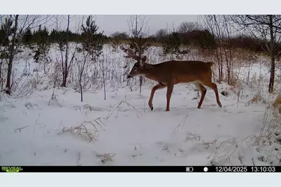 Tbdx 130th Street, Detroit Lakes, MN 56501 - Photo 92