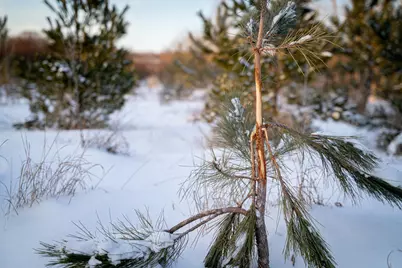 Tbdx 130th Street, Detroit Lakes, MN 56501 - Photo 40