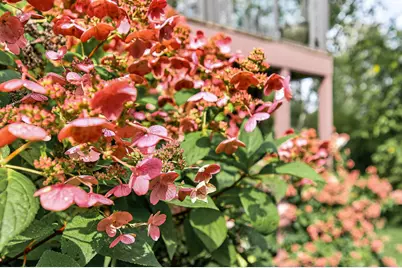 1475 162nd Avenue NW, Andover, MN 55304 - Photo 58