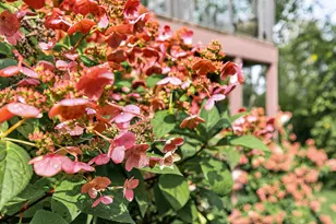 1475 162nd Ave NW, Andover, MN 55304 - Photo 58