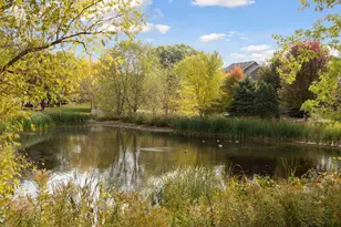 8069 Enclave Bay, Woodbury, MN 55125 - Photo 52