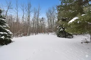 5853 S Markville Rd, Danbury, WI 54830 - Photo 42