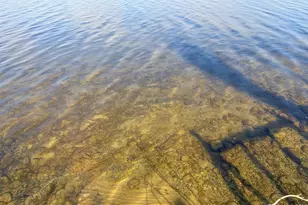 10007 Alcott Dr, Sauk Centre Township, MN 56378 - Photo 24