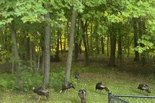 21066 Malibu Ave, Prior Lake, MN 55372 - Photo 80