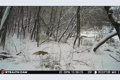 7405 Knollwood Drive, Mounds View, MN 55112 - Photo 46