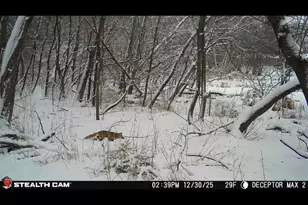 7405 Knollwood Dr, Mounds View, MN 55112 - Photo 44