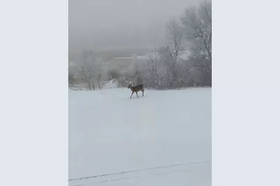 27196 Co Hwy 21, Detroit Lakes, MN 56501 - Photo 28