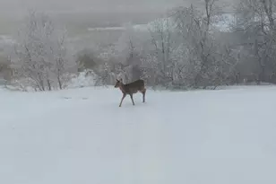 27196 Co Hwy 21, Detroit Lakes, MN 56501 - Photo 28