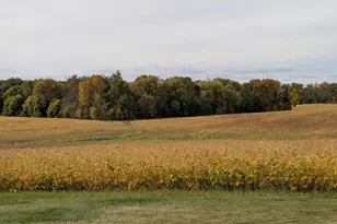 27196 Co Hwy 21, Detroit Lakes, MN 56501 - Photo 64