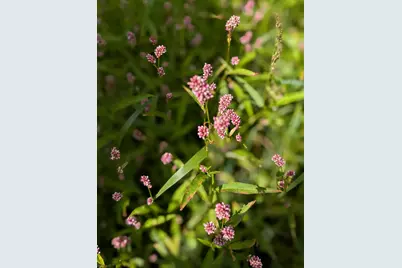 27196 Co Hwy 21, Detroit Lakes, MN 56501 - Photo 68