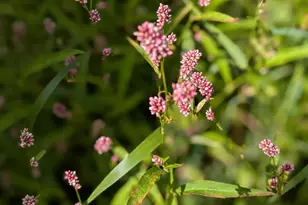 27196 Co Hwy 21, Detroit Lakes, MN 56501 - Photo 68