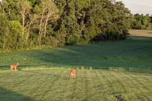 27196 Co Hwy 21, Detroit Lakes, MN 56501 - Photo 48