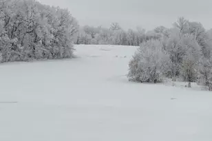 27196 Co Hwy 21, Detroit Lakes, MN 56501 - Photo 4