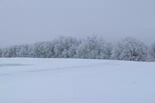 27196 Co Hwy 21, Detroit Lakes, MN 56501 - Photo 26