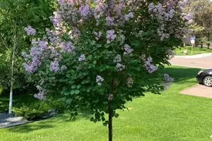 5213 Woodhill Rd, Minnetonka, MN 55345 - Photo 82