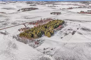 37358 385th Ave, Sauk Centre Township, MN 56378 - Photo 54