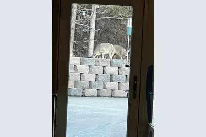 37358 385th Avenue, Sauk Centre Township, MN 56378 - Photo 88