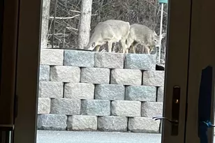 37358 385th Ave, Sauk Centre Township, MN 56378 - Photo 88