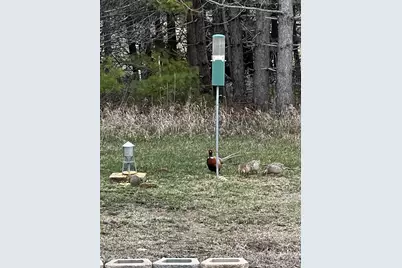 37358 385th Avenue, Sauk Centre Township, MN 56378 - Photo 90