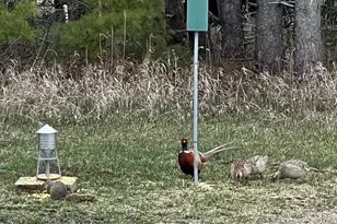 37358 385th Ave, Sauk Centre Township, MN 56378 - Photo 90