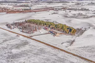 37358 385th Ave, Sauk Centre Township, MN 56378 - Photo 6