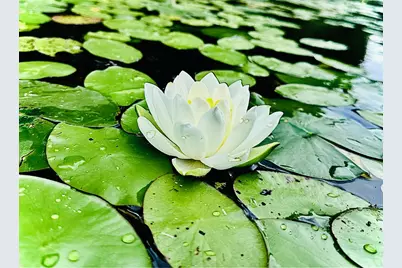 2473 27 1/2 Street, Rice Lake, WI 54868 - Photo 36