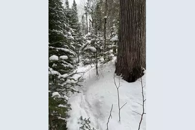 Xx10 Lavaque Road, Duluth, MN 55802 - Photo 10